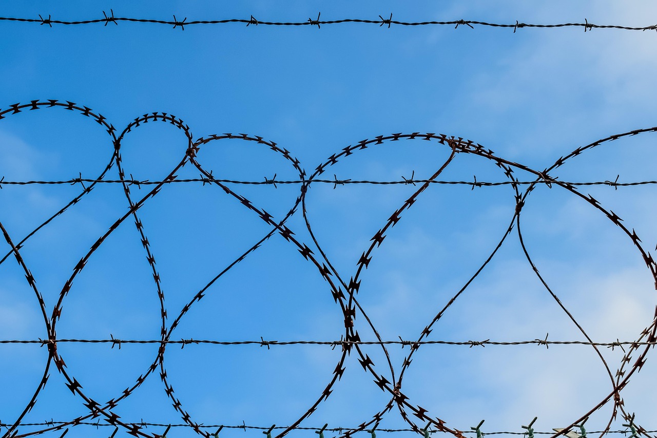 方盒中免黄大卫杜夫国际版：如皋商品期货开户平台