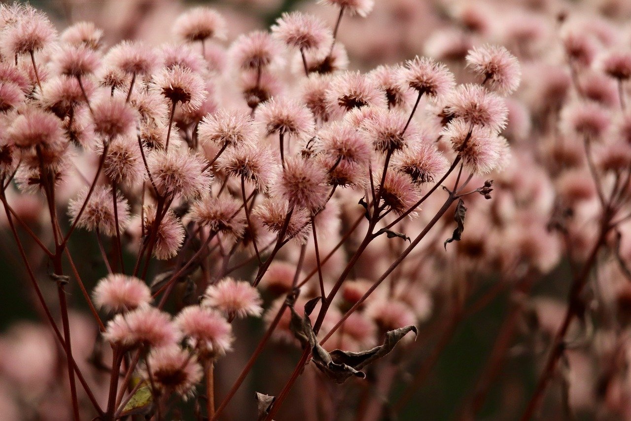 DDOS压力测试|机器学习与人工智能反制黑客攻击实践