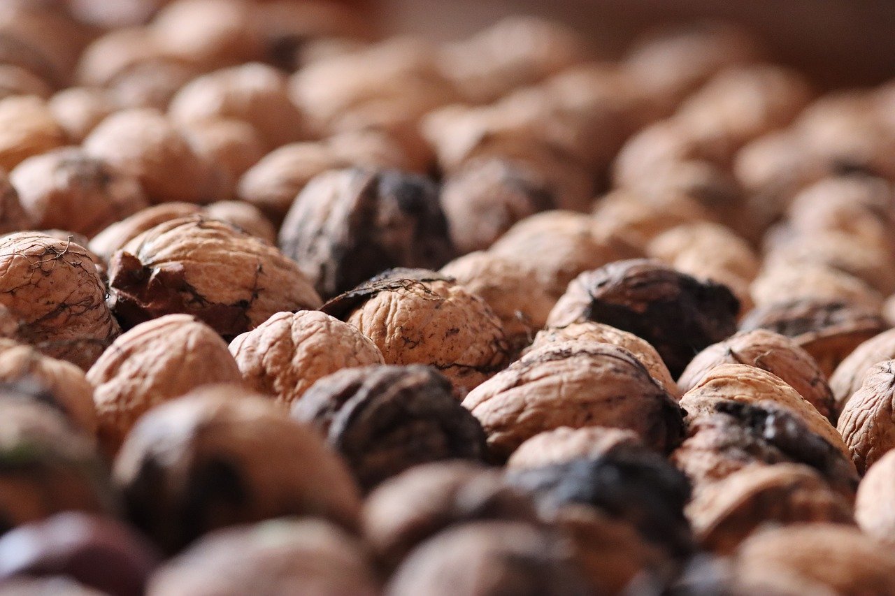 战地风云5：中国新闻网站怎么注册账号