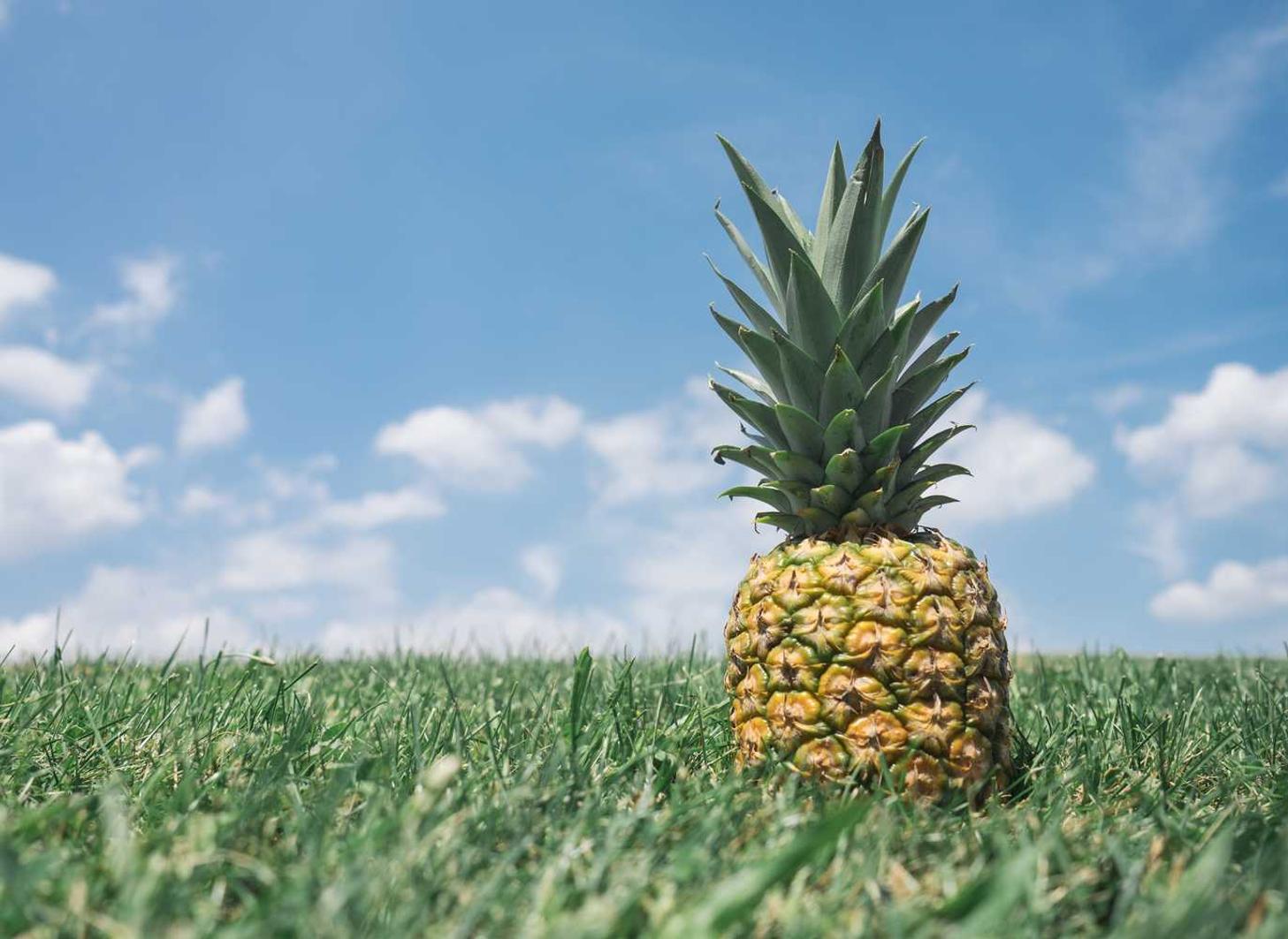 注册公司代理红酒