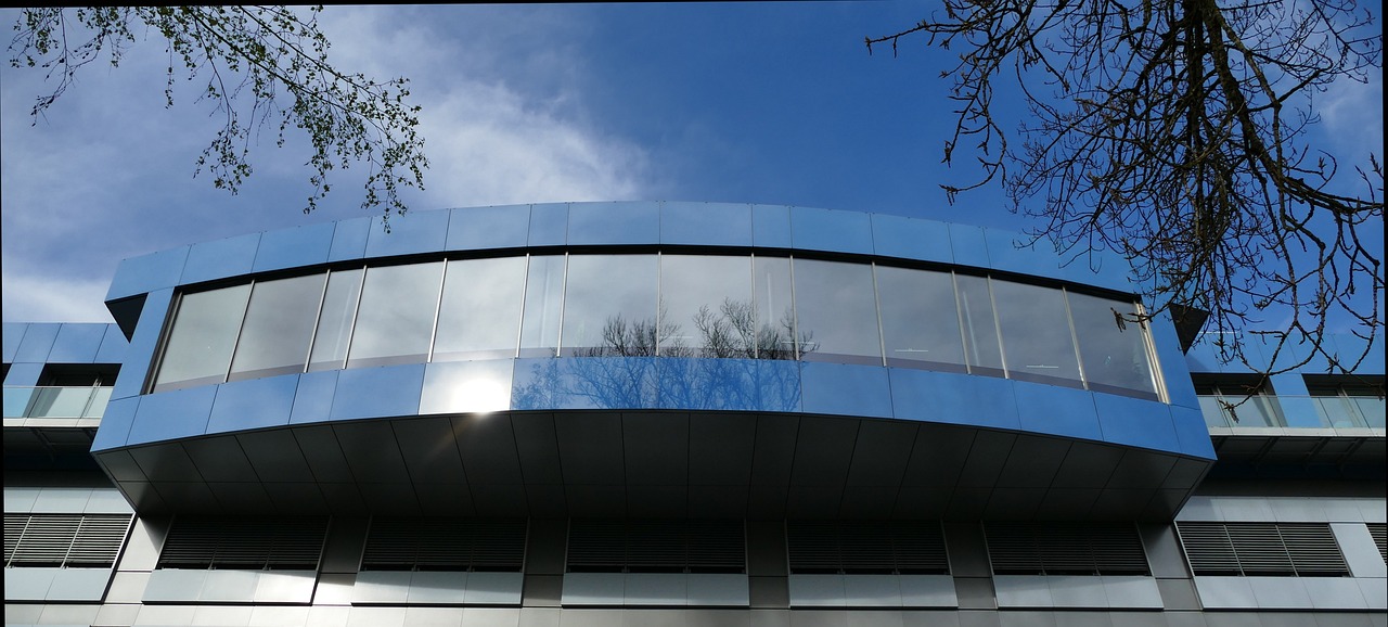 钉钉实名账号：斗鱼直播详情下载教程app